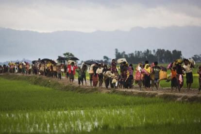 Miembros de la minoría rohingya caminan por un campo de arroz en su huida de Birmania para refugiarse en Bangladés.