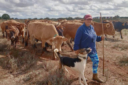 Susana García Fernández, con sus vacas y sus perros pastoreando en Chozas de Abajo. DL