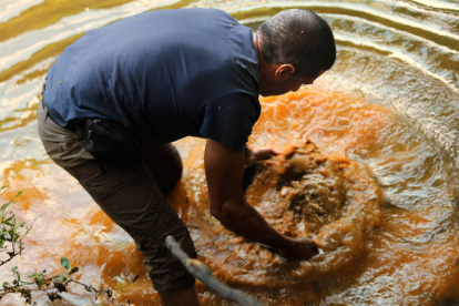 Vicente Casado remueve el agua y los sedimentos durante una jornada de bateo en Cabrera. J.F.L.