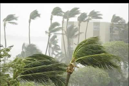 En los Cayos de Florida, Rita está dejando lluvias intensas y fuertes vientos, que han arrancado ramas de árboles, señales de tráfico y estructuras ligeras.