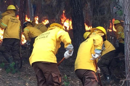 Chile vive una ola de incendios forestales que han arrasado con miles de hectáreas.