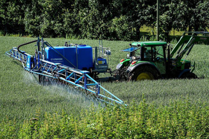 Labores de aplicación de herbicidas en un cultivo agrícola. EFE