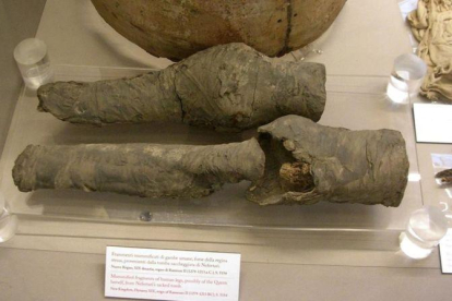 Las piernas momificadas del Museo Egipcio de Turín que, según un grupo de arqueólogos, podrían ser las de la reina Nefertari, esposa de Ramsés II.