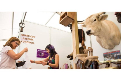 La feria muestra tanto los atractivos naturales como los gastronómicos de las zonas de montaña de la provincia. F. OTERO PERANDONES