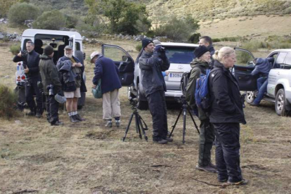 Un grupo de turistas realiza observamiento de especies en la montaña de Riaño.