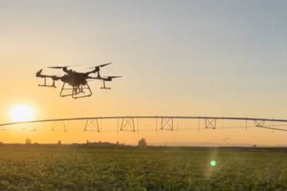 Uno de lops drones sobrevuela un cultivo. DL
