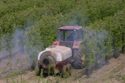 Un agricultor trata con maquinaria una plantación de frutales en el Bierzo. DE LA MATA
