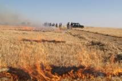 La quema de los primeros rastrojos para luchar contra los topillos comenzó ayer en Valladolid