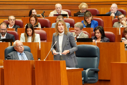Intervención de la consejera de Educación, Rocío Lucas, en el Pleno de las Cortes de Castilla y León. LETICIA PÉREZ/ICAL