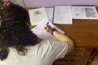 Una opositora prepara los exámenes en León durante el confinamiento por el coronavirus. DL