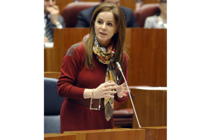 La consejera Silvia Clemente, durante su intervención.