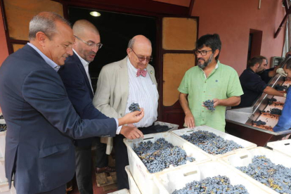 Delgado, Costas, Fonseca y Marqués, ayer en la bodega.