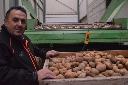 César Pan en las instalaciones de Prodeleco, en Riego de la Vega, junto a un palé de patatas. MEDINA