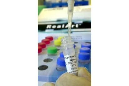 Un laboratorio alemán realiza el test para detectar el virus de la neumonía