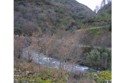 El río Cabrera, en una imagen de archivo.