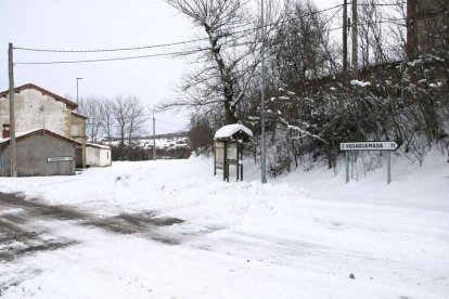 Campos