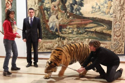 Valerie y Lantin tratan de calmar al animal tras el susto.
