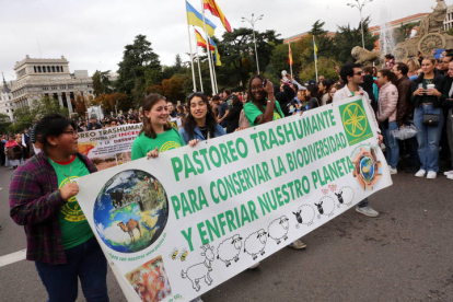 Día de la Trashumancia en Madrid. BENITO ORDÓÑEZ