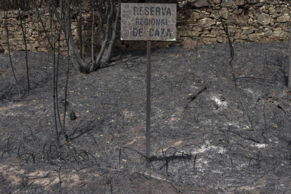 Vista de la zona afectada por el incendio forestal declarado en la Sierra de la Culebra. MARIAN MONTESINOS