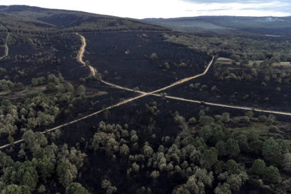 Vista general de la superficie calcinada en el incendio forestal de la reserva de la Sierra de la Culebra. BRAIS LORENZO