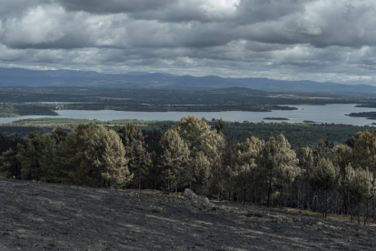 Vista general de la superficie calcinada en el incendio forestal de la reserva de la Sierra de la CulebrA. BRAIS LORENZO
