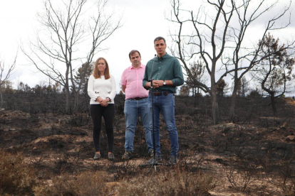El presidente del Gobierno, Pedro Sánchez, durante su visita las zonas afectadas por el incendio forestal declarado el pasado 15 de junio en la Sierra de la Culebra (Zamora). MARIAN MONTESINOS