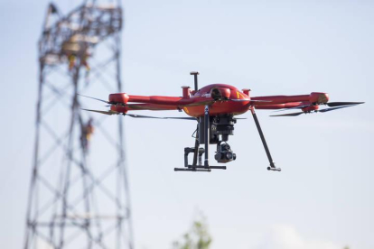 Los drones van a vigilar las plantaciones de manzanilla en el Bierzo.