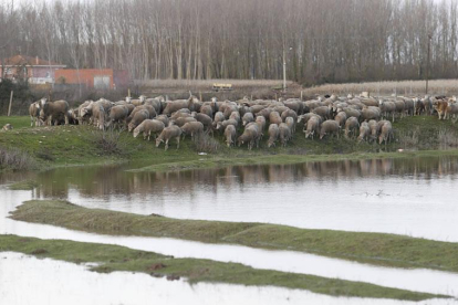 El río Tuerto a su paso por la localidad. JESÚS F. SALVADORES