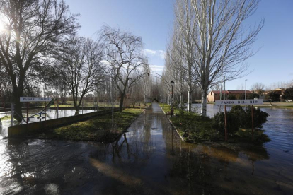 El río Órbigo a su paso por La Nora. JESÚS F. SALVADORES