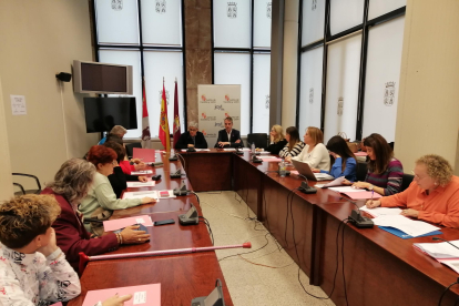 Reunión de la Comisión Territorial de Violencia de Género celebrada esta mañana. JCYL