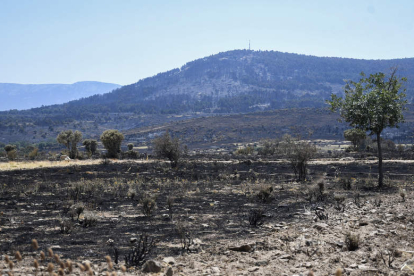 Imagen del terreno calcinado en Navafría. PABLO MARTÍN