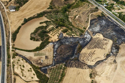 Fotografía facilitada por el Gobierno de Navarra del lugar donde se inició el incendio, declarado ayer entre las localidades de Tafalla y Pueyo, en Navarra.