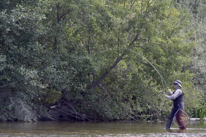 Pesca de trucha en un río leonés