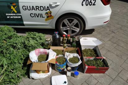 Imagen de la marihuana decomisada por la Guardia Civil. GUARDIA CIVIL