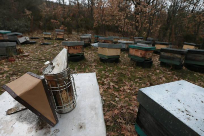 Un grupo de colmenas en una finca en el monte.