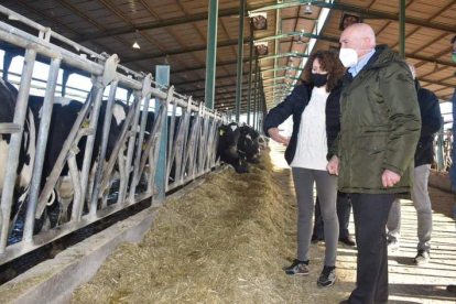 El consejero de Agricultura, Jesús Julio Carnero, en su visita a una granja de leche de Valladolid. DL