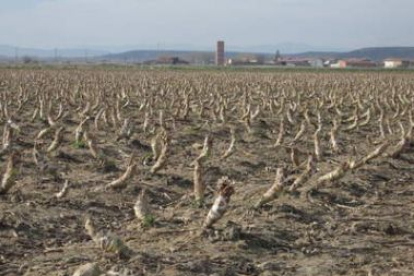 Una explotación agrícola y, al fondo, Villarnera, en una imagen de archivo.