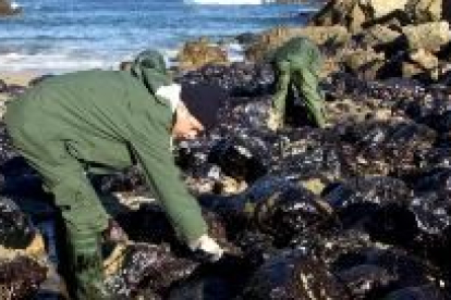 Un marinero limpia de fuel la playa de Santa Justa, en Cantabria