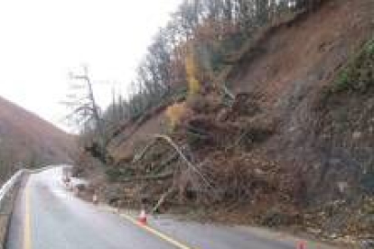 Toneladas de tierra y árboles cubren la calzada de la carretera C-232