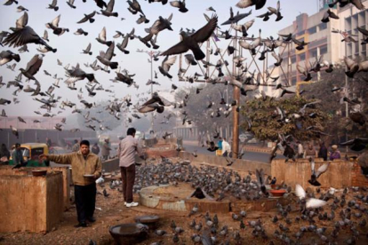 Dos hombres dan de comer a los pájaros en una fría mañana en Nueva Deli (India).