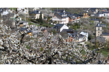 Imagen de archivo de la floración de los cerezos en el municipio de Corullón. L. DE LA MATA