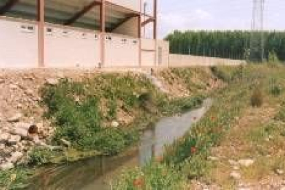 Tramo del canal de riego donde se vierten las aguas residuales procedentes del campo de fútbol