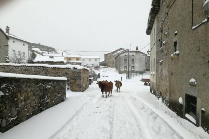 El pueblo de Maraña, cubierto por la nieve. DL