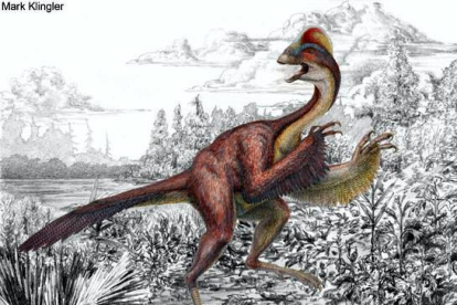 'Anzu wyliei', contemporáneo de los famosos Tiranosaurius rex o el Triceratops, es el dinosaurio más parecido a las aves que se conoce. Era omnívoro, vivía en llanuras inundadas y comía vegetales, pequeños animales y huevos. Anidaba e incubaba sus huevos hasta su eclosión, tenía los huesos huecos, plumas y un pico similar al de los actuales loros. La especie que medía unos 3,5 metros de largo y 1,5 de alto y pesaba entre 200 y 300 kilos, fue descubierta en un yacimiento de Dakota del Sur (EE.UU) donde se encontraron tres esqueletos. MARK A. KLINGLER / MUSEO CARNEGIE DE HISTORIA NATURAL