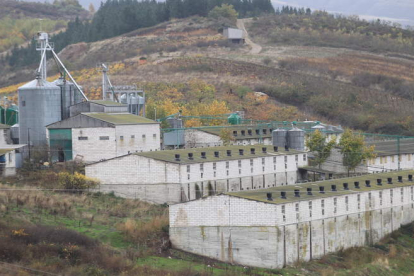 La granja de cerdos de Frimols se ubicaba en el entorno de la localidad de Campo, entre Molinaseca y Ponferrada.