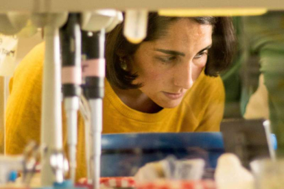 Noelia Bernardo García, en el laboratorio del Instituto Rocasolano del CSIC. DL