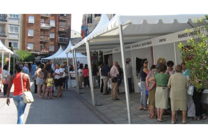 Aspecto que presentaba ayer la muestra en Bembibre, que contó con 41 colectivos sociales.