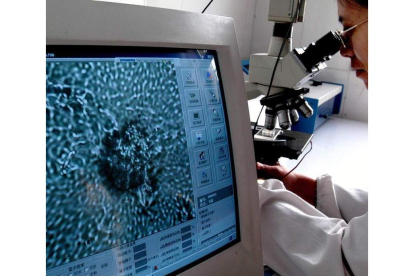 Un laboratorio chino analiza los espermatozoides en una foto de archivo. EPA