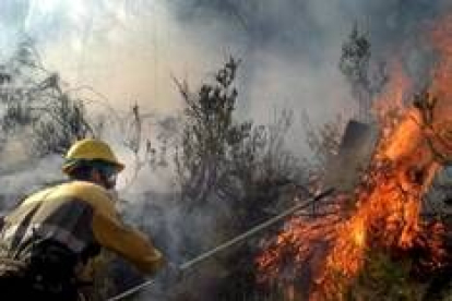 Un componente de una brigada contra incendios intenta por todos los medios sofocar las llamas