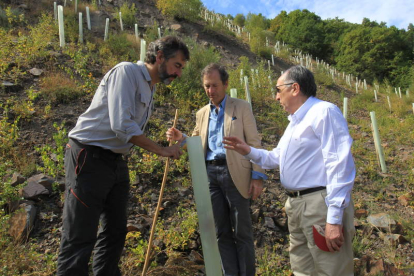 Guillermo Palomero, de la FOP, y Borja Baselga y Rafael Hurtado, de la Fundación Banco Santander.